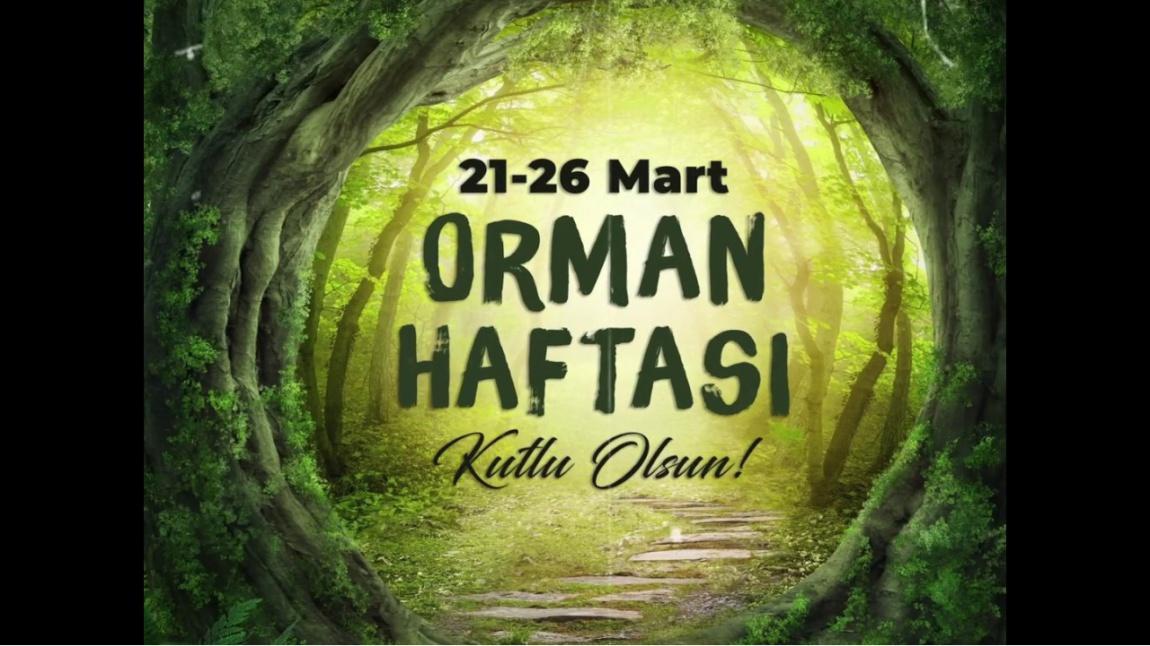 ORMAN HAFTASI (21-26 MART)